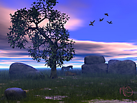 Дерево на закате