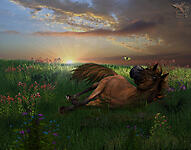 Времена года. Лето