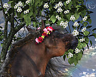 Времена года. Цветущий май