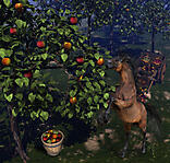 По яблочки!